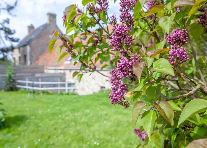 Normandy Se Ressourcer A Deux Pas De La * Fermanville