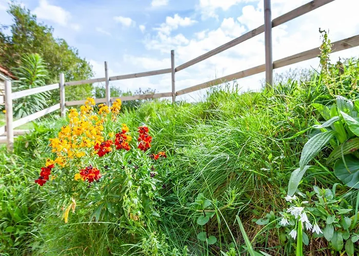 Prázdninový dům Normandy Se Ressourcer A Deux Pas De La *